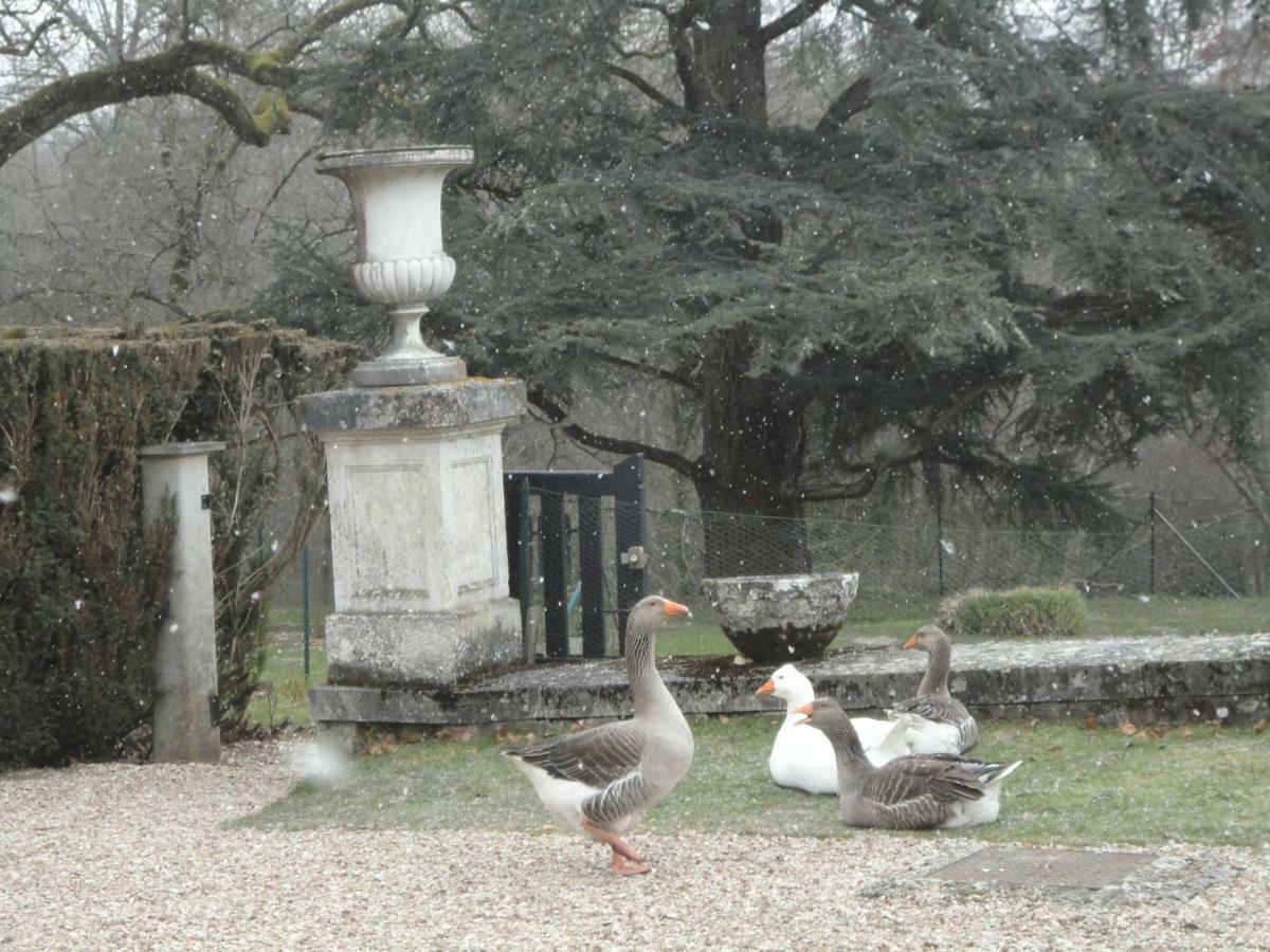 Chateau De La Faye Menetreol-sur-Sauldre Eksteriør bilde