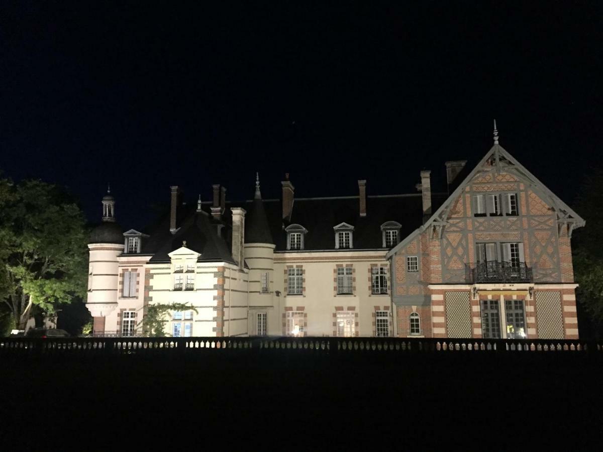 Chateau De La Faye Menetreol-sur-Sauldre Eksteriør bilde