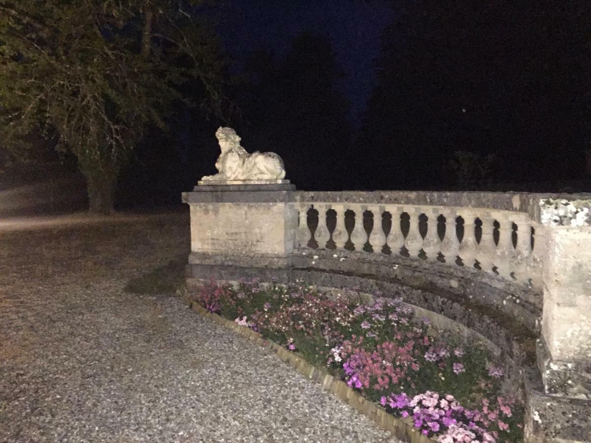 Chateau De La Faye Menetreol-sur-Sauldre Eksteriør bilde